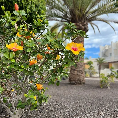 My Piece Of Paradise Apartment Palm-mar